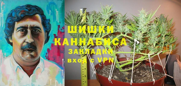 PSILOCYBIN Нефтегорск