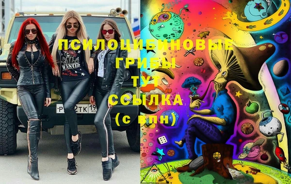 PSILOCYBIN Нефтегорск